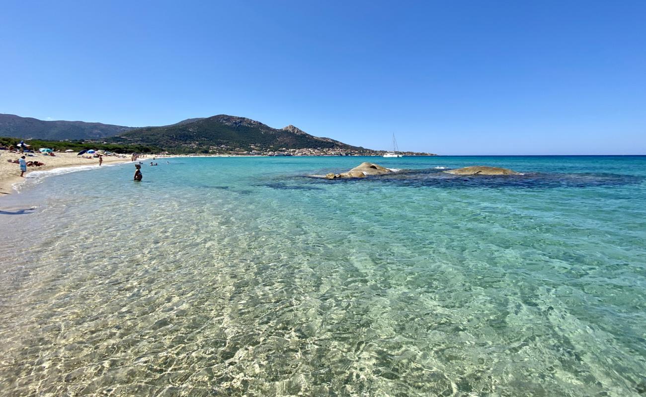 Aregno Plajı'in fotoğrafı parlak kum yüzey ile