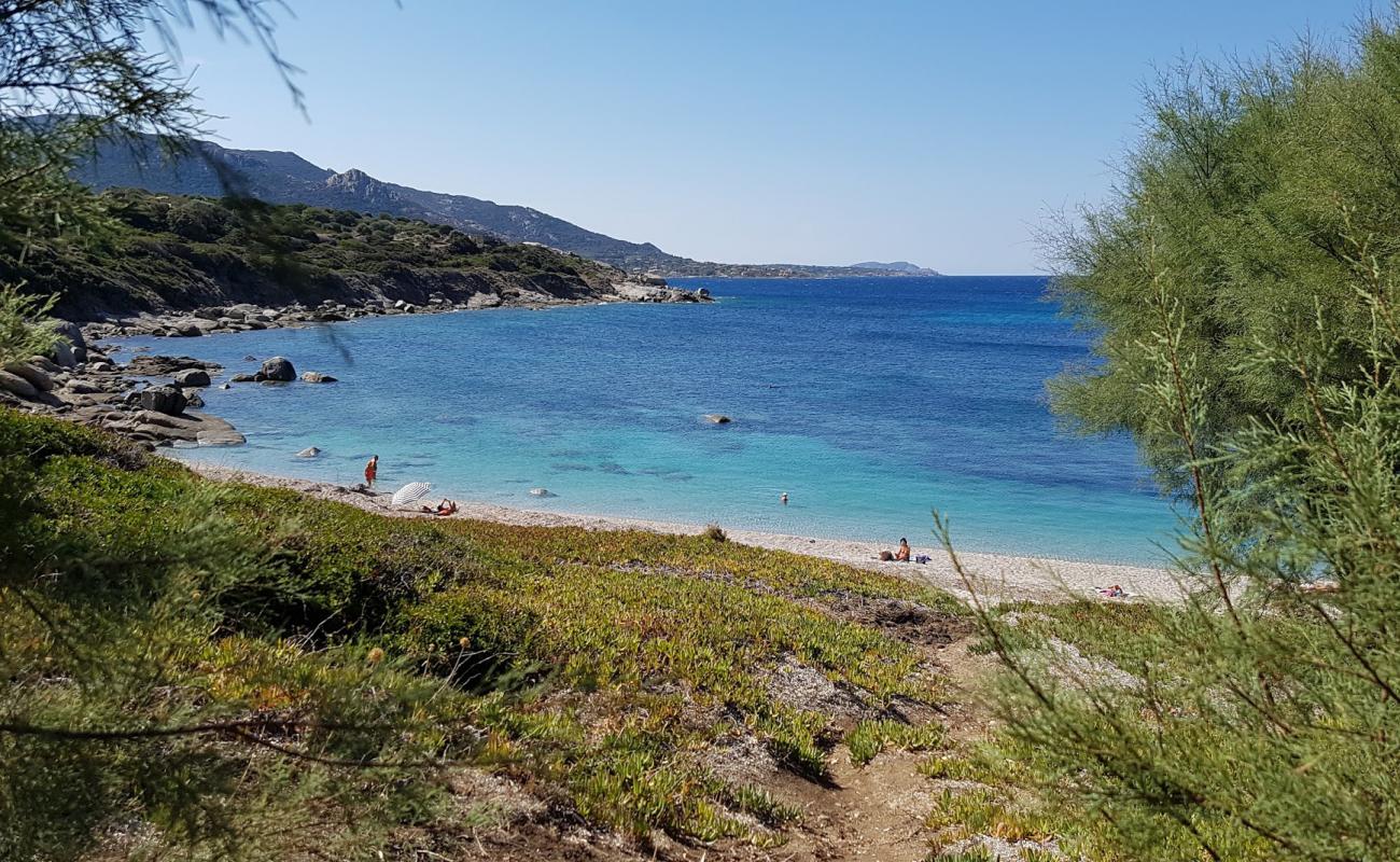 Marine De Davia'in fotoğrafı açık bej kum yüzey ile