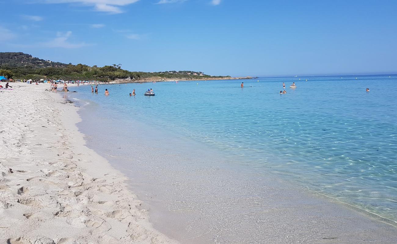 Ghjunchitu Plajı'in fotoğrafı parlak ince kum yüzey ile