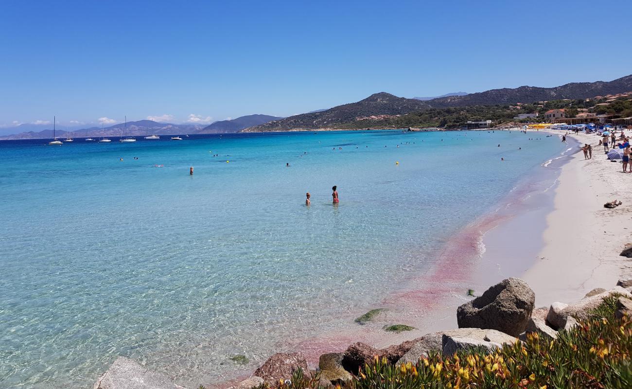 Plage Ile Rousse'in fotoğrafı parlak ince kum yüzey ile