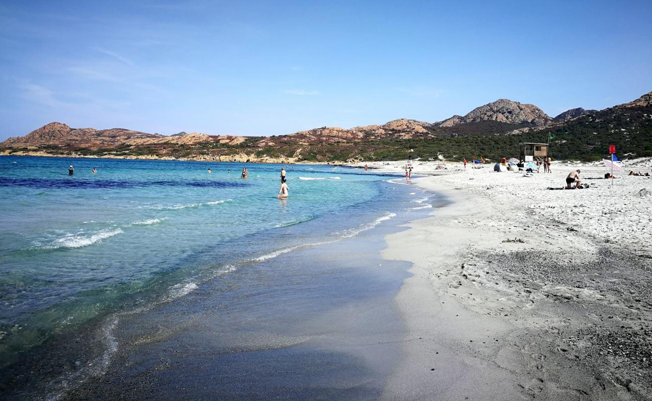 Ostriconi Plajı'in fotoğrafı parlak kum yüzey ile