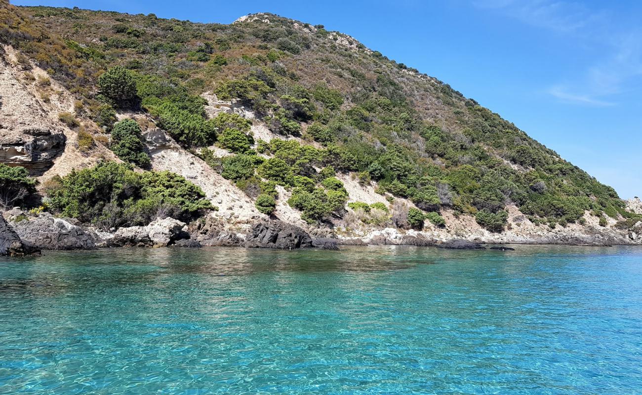 Acciola beach'in fotoğrafı parlak kum yüzey ile