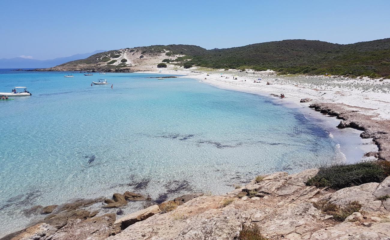 Ghignu beach'in fotoğrafı parlak kum yüzey ile