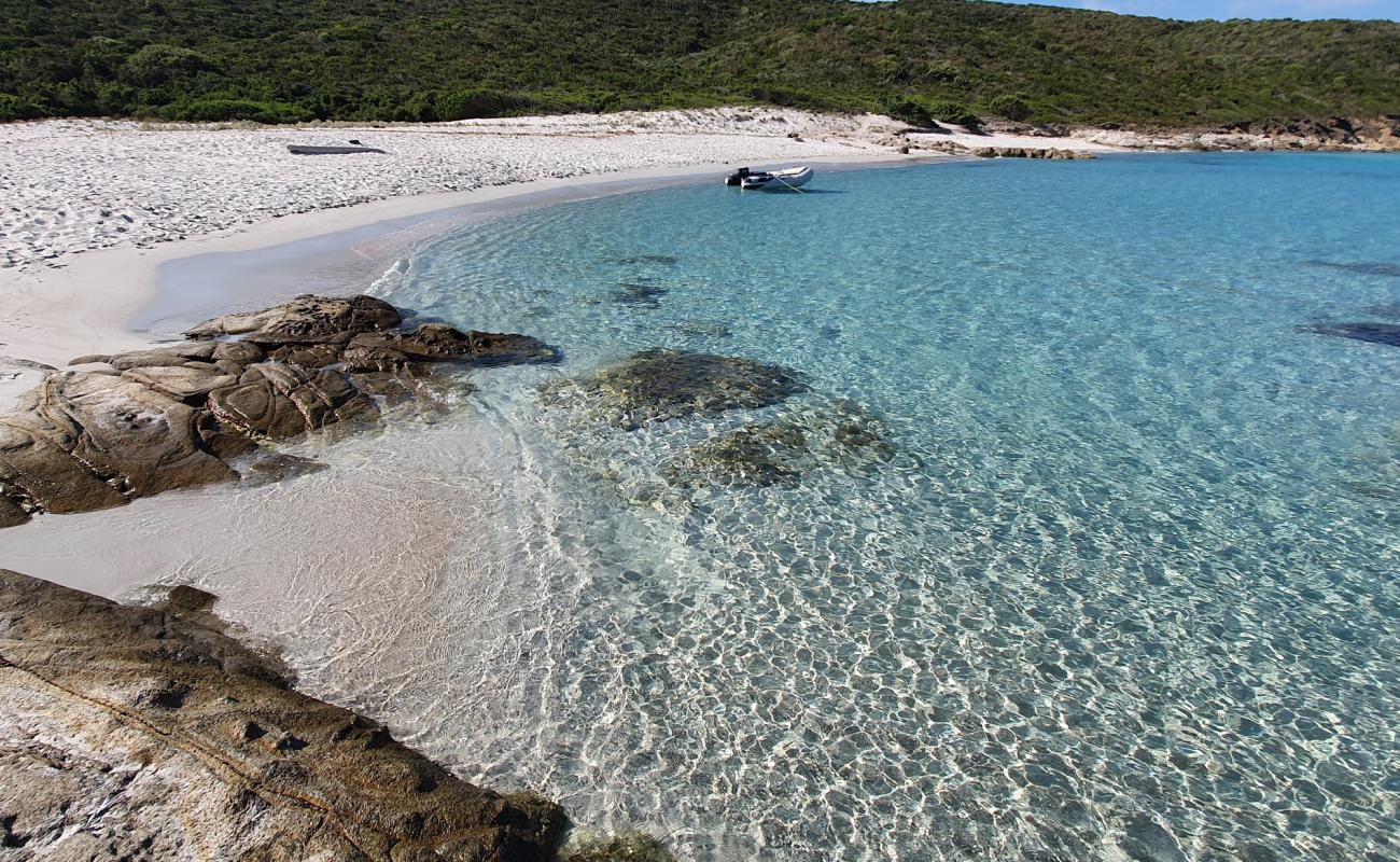 Trave beach'in fotoğrafı parlak ince kum yüzey ile