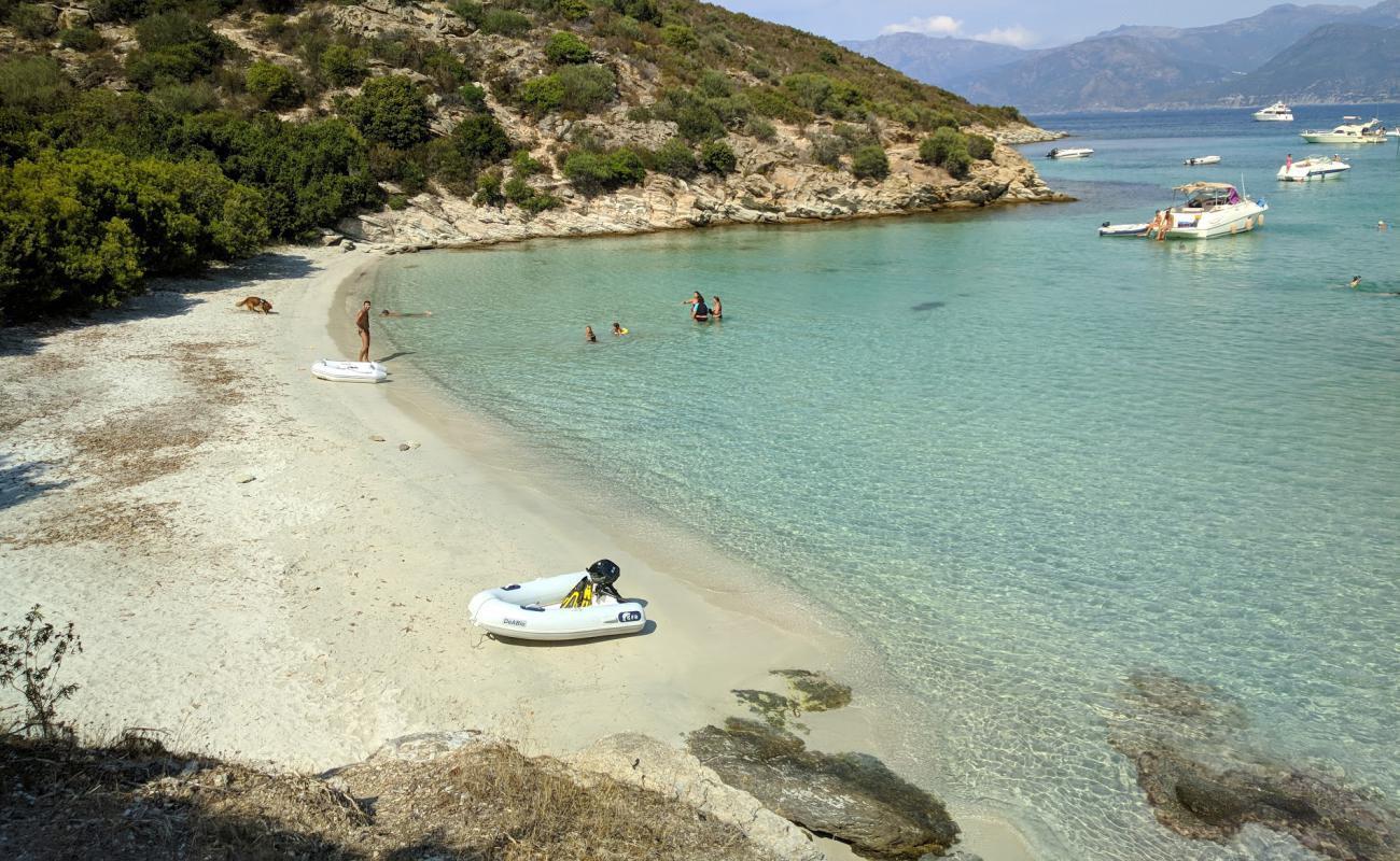 Fiume Santo'in fotoğrafı parlak kum yüzey ile