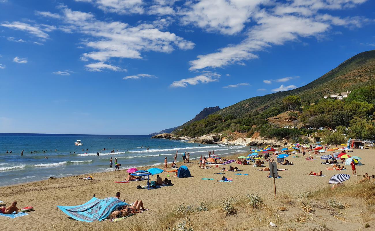 Farinole beach'in fotoğrafı parlak kum yüzey ile