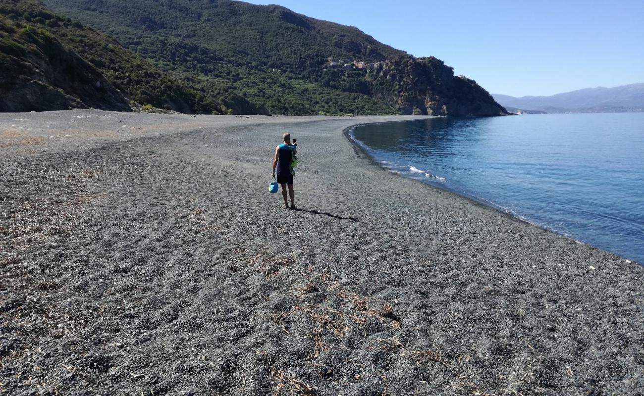 Nonza Plajı'in fotoğrafı gri çakıl taşı yüzey ile