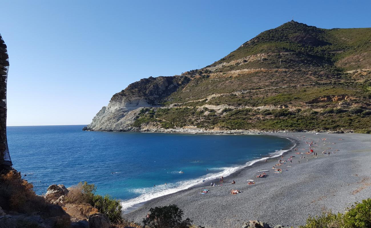 D'Albo beach'in fotoğrafı gri çakıl taşı yüzey ile