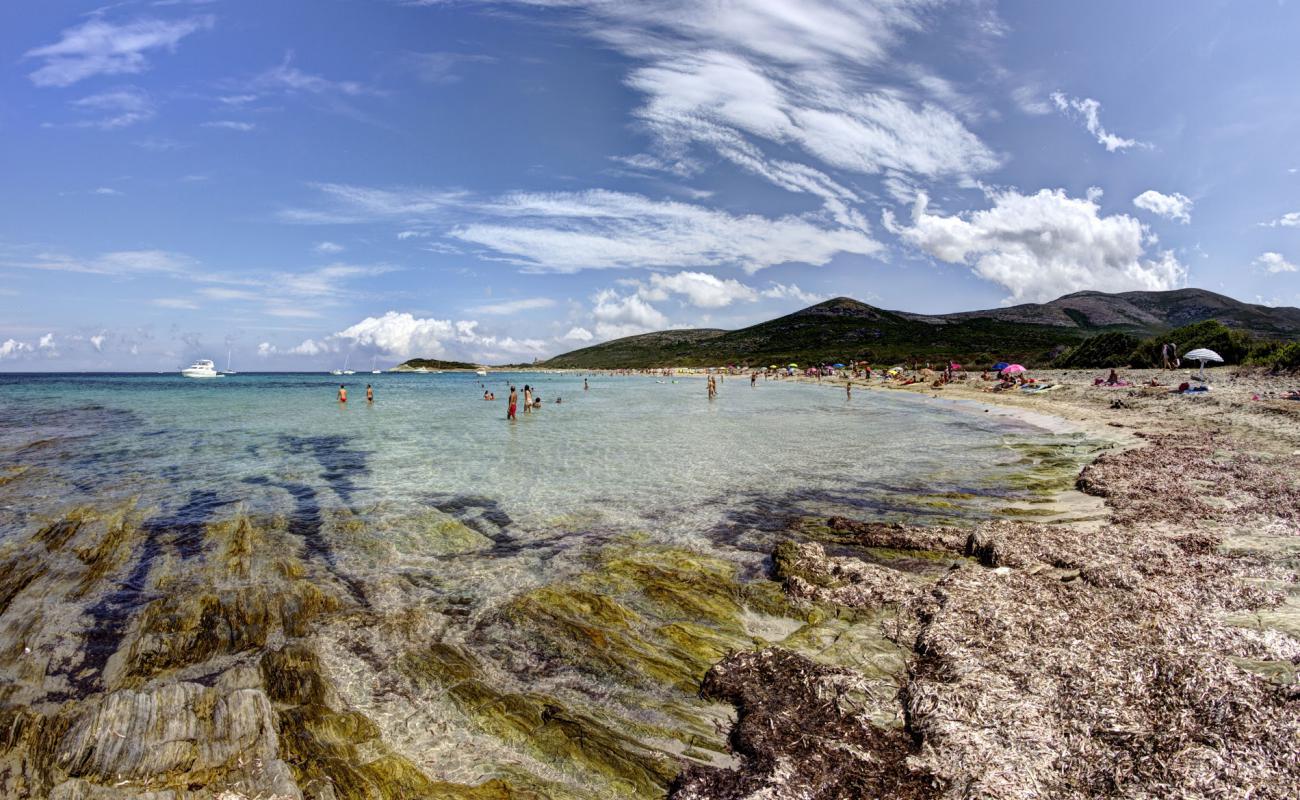 Barcaggio beach'in fotoğrafı parlak kum yüzey ile