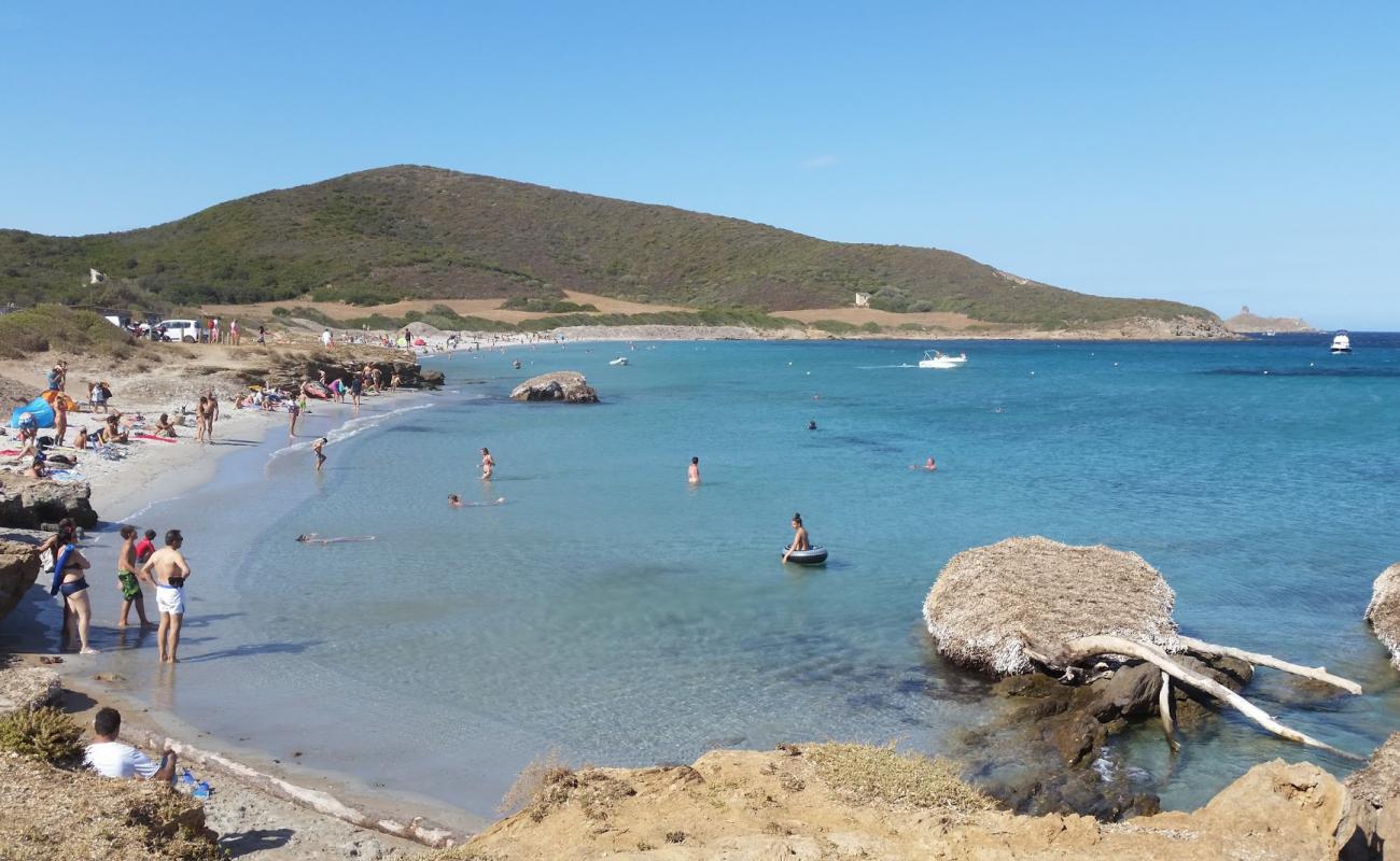 Plage De Tamarone'in fotoğrafı parlak kum yüzey ile