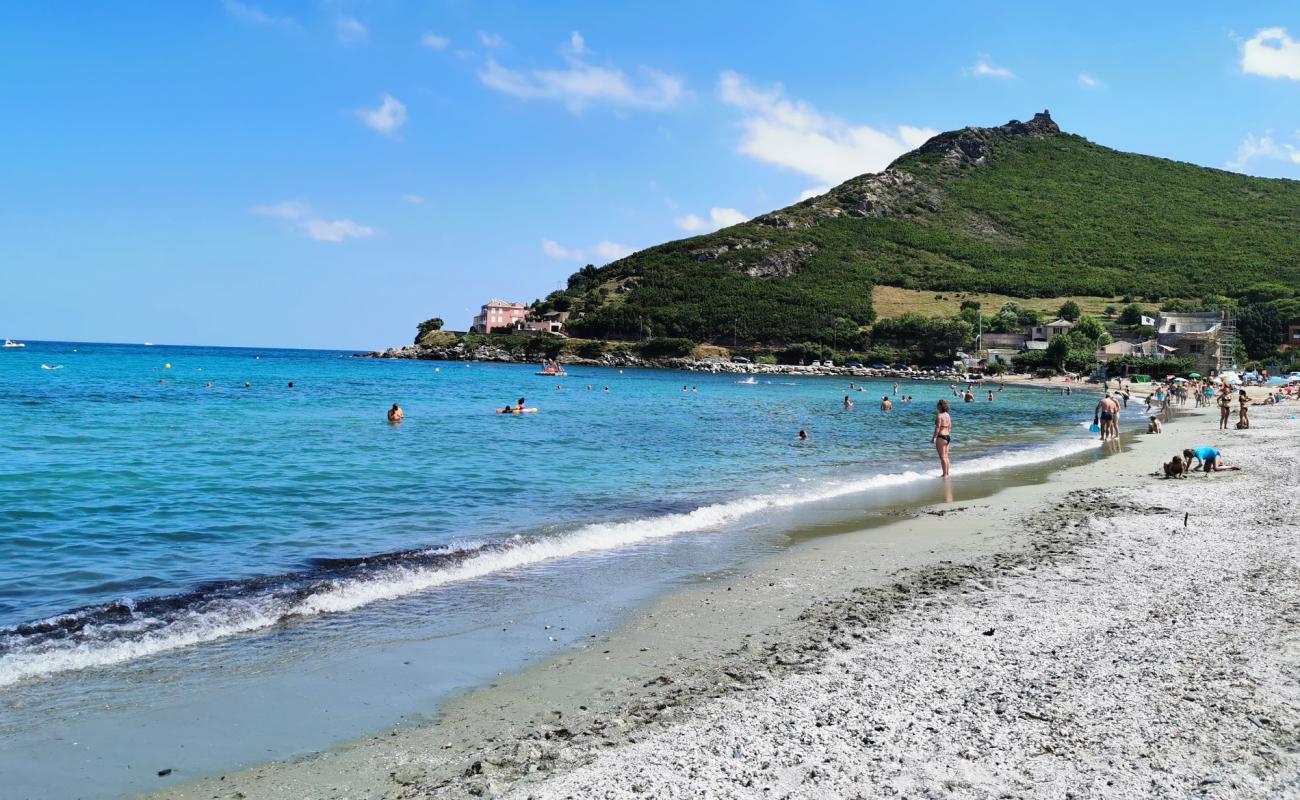 Pietracorbara plajı'in fotoğrafı parlak kum yüzey ile