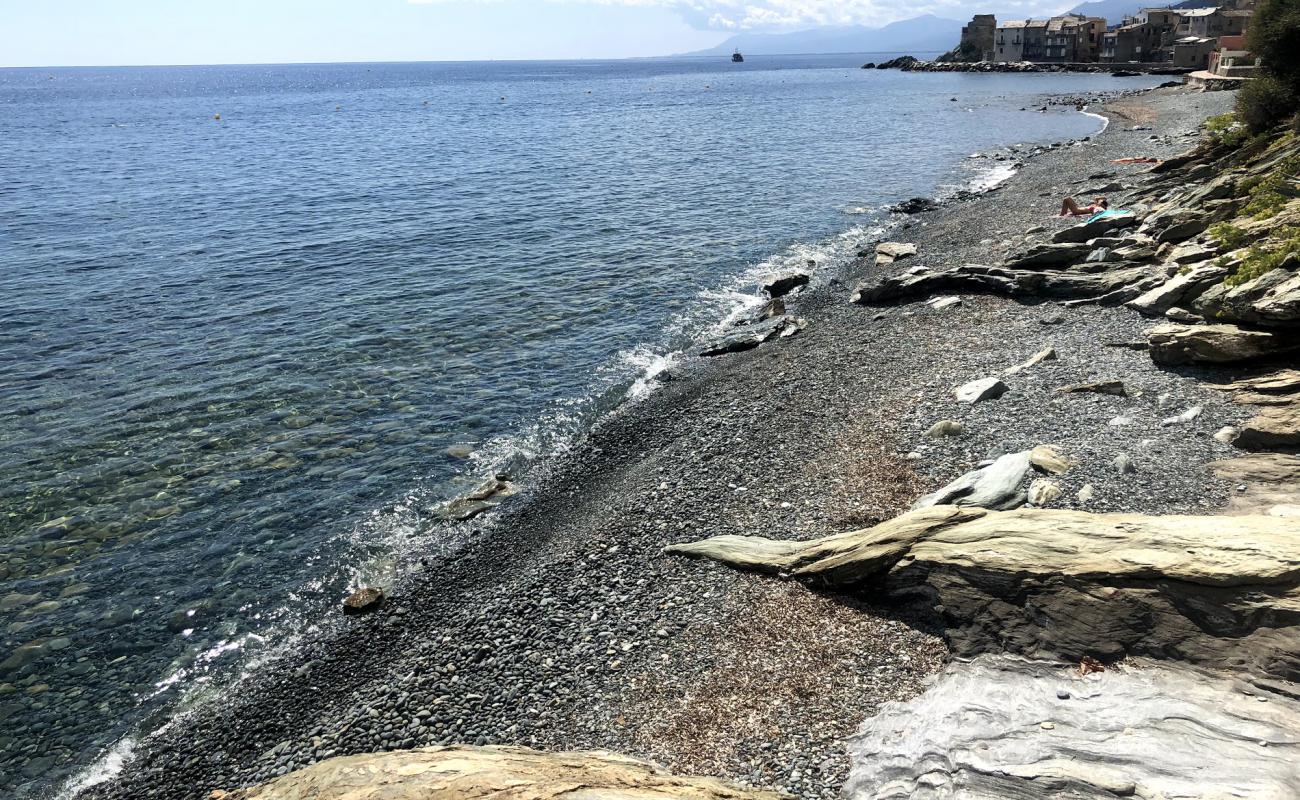 Erbalunga beach'in fotoğrafı gri çakıl taşı yüzey ile