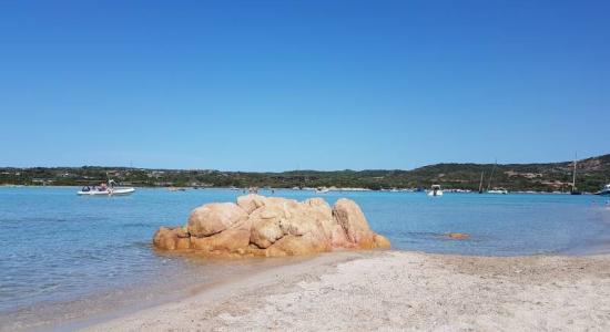 Ile Piana