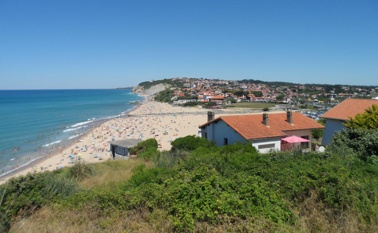 Plage d'Uhabia'in fotoğrafı parlak kum yüzey ile