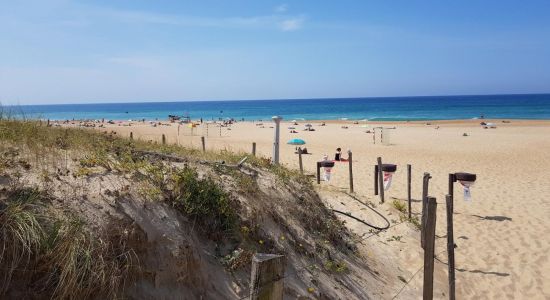 Plage du metro