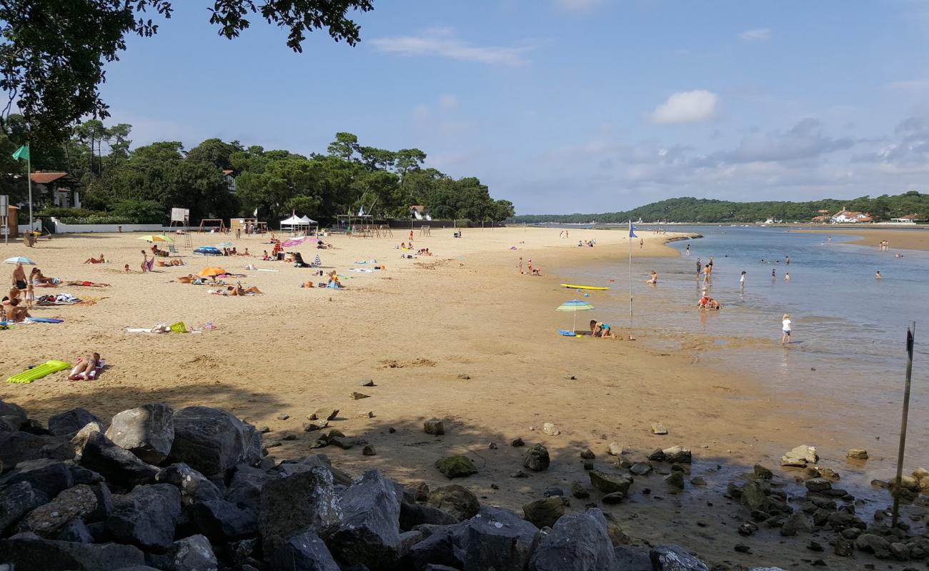 Plage des Chenes-Lieges'in fotoğrafı açık bej kum yüzey ile