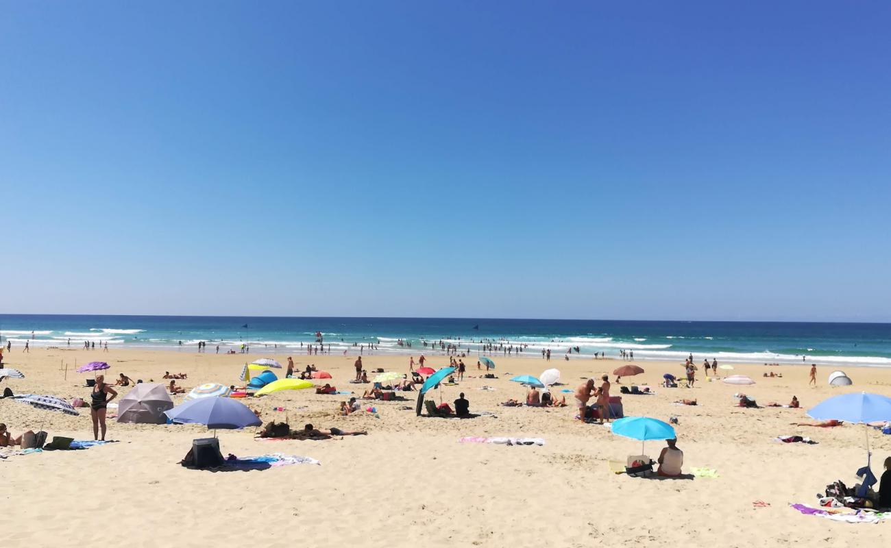 Plage de Biscarrosse'in fotoğrafı beyaz ince kum yüzey ile