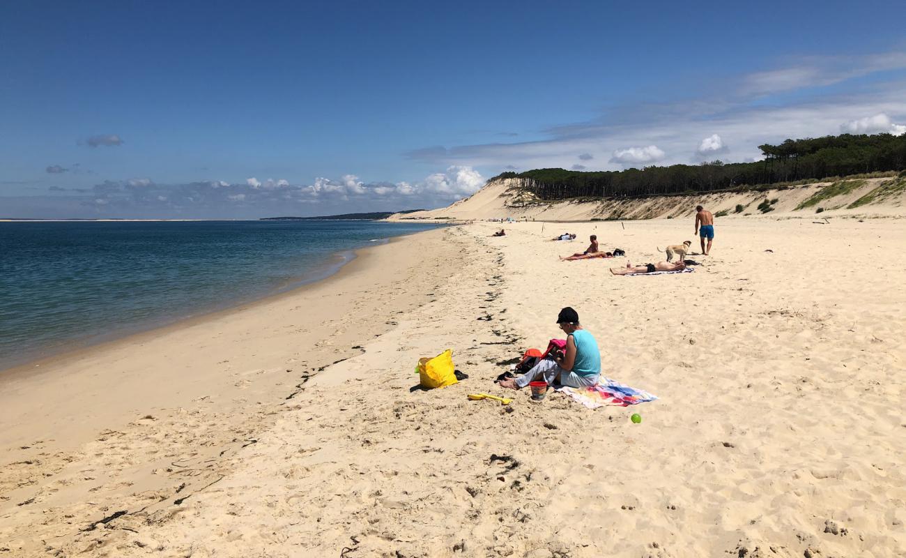 Plage du Petit Nice'in fotoğrafı beyaz ince kum yüzey ile