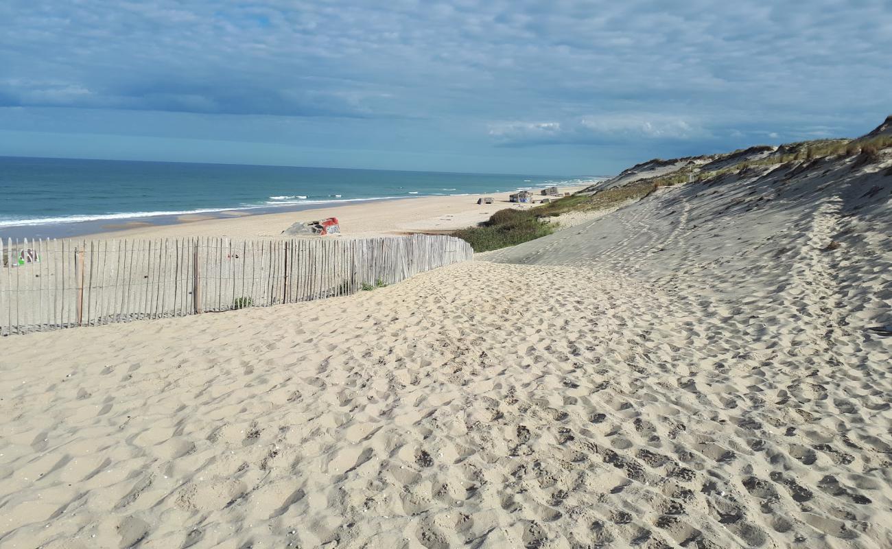 Le Pin beach'in fotoğrafı parlak kum yüzey ile