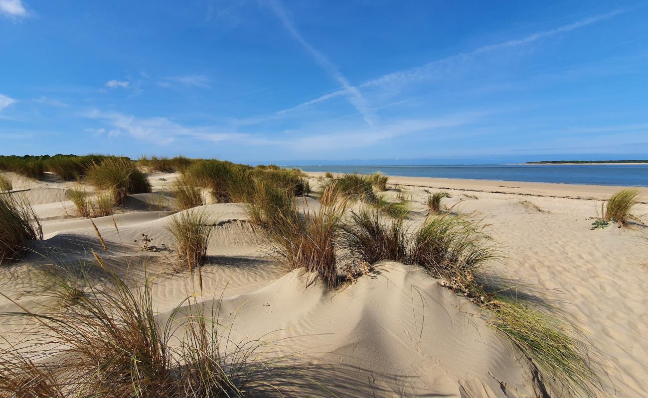 Plage du Galon d'Or'in fotoğrafı i̇nce beyaz kum yüzey ile