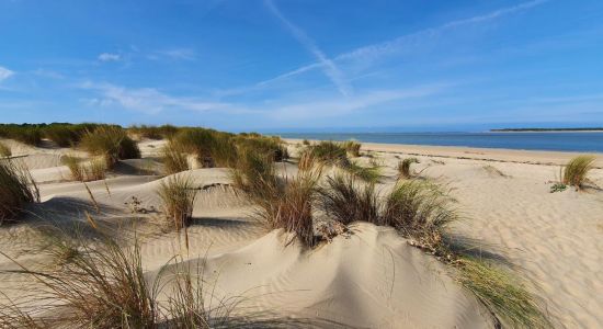 Plage du Galon d'Or