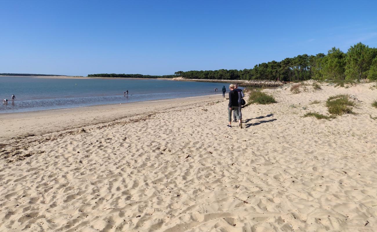 Plage de Gatseau'in fotoğrafı beyaz kum yüzey ile