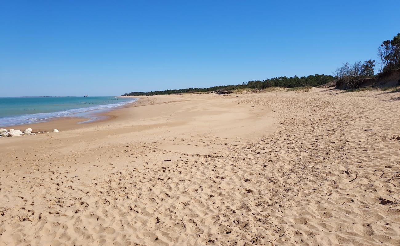 Plage de La Gautrelle'in fotoğrafı açık bej kum yüzey ile