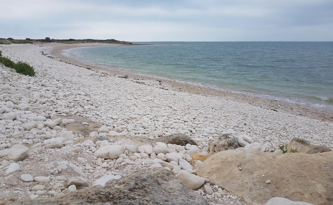 Plage Du Roux'in fotoğrafı beyaz çakıl taş yüzey ile