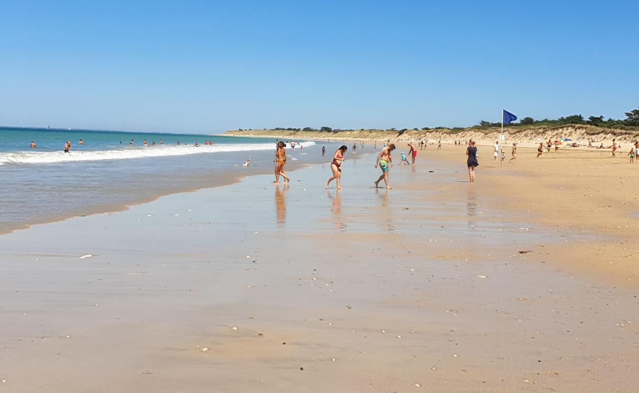 Conche of Whales beach'in fotoğrafı açık bej kum yüzey ile