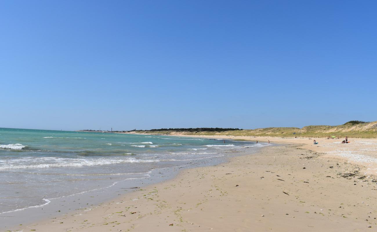 Campiotel beach'in fotoğrafı bej kum ve çakıl yüzey ile