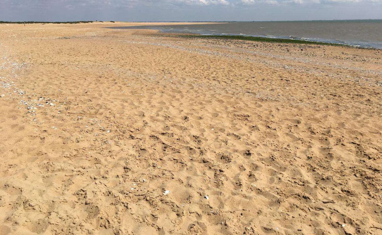 Pointe beach'in fotoğrafı bej kum ve çakıl yüzey ile