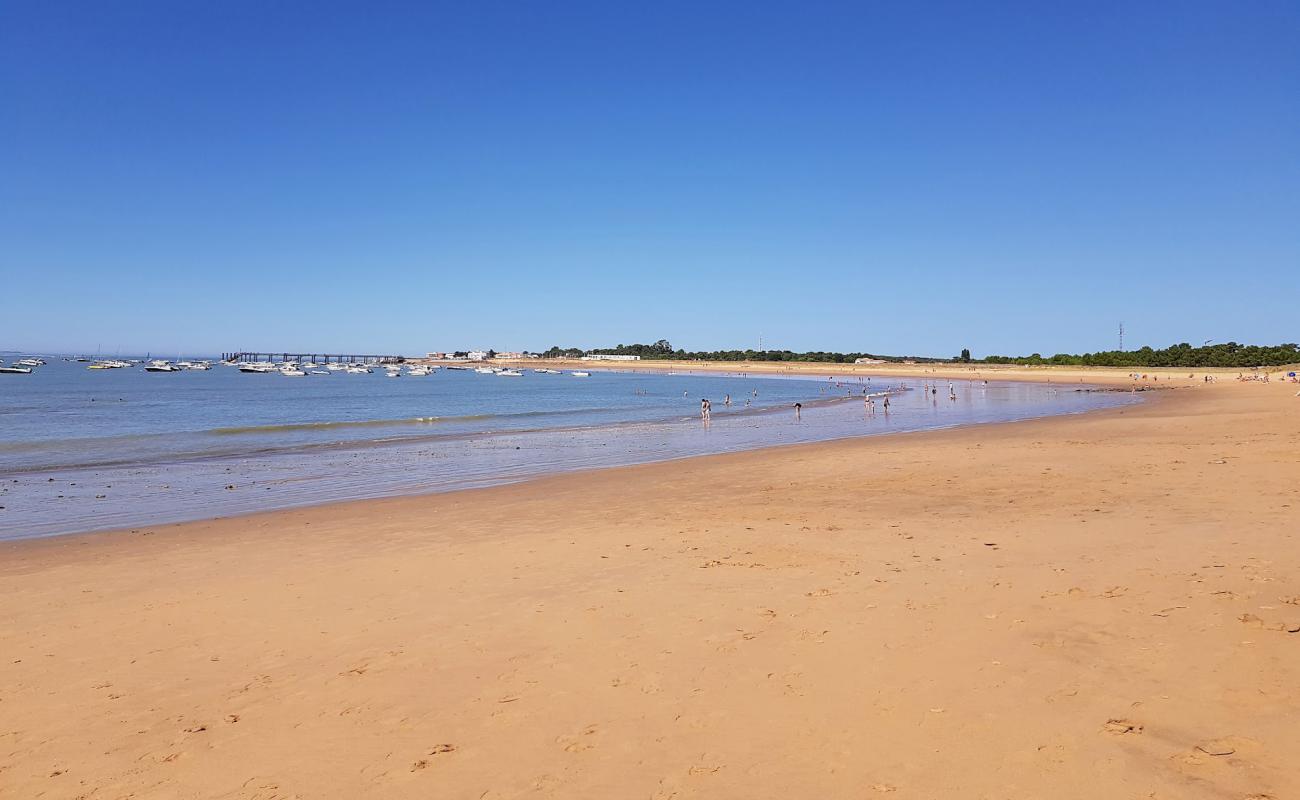 Clemenceau beach'in fotoğrafı açık bej kum yüzey ile