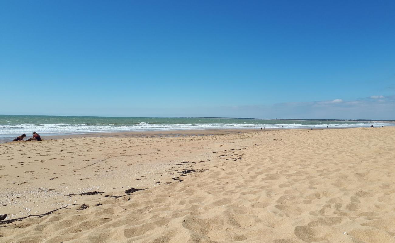 Terriere beach'in fotoğrafı açık bej kum yüzey ile