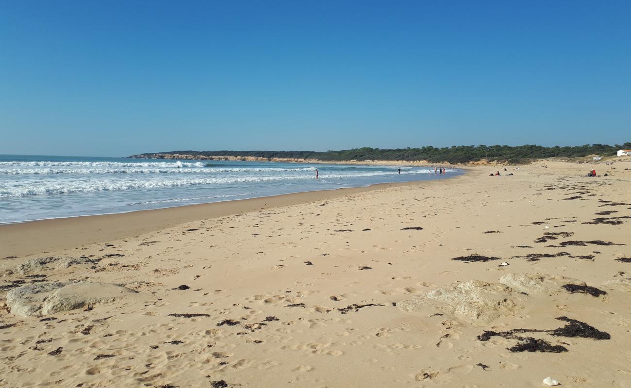 Mine beach'in fotoğrafı açık bej kum yüzey ile