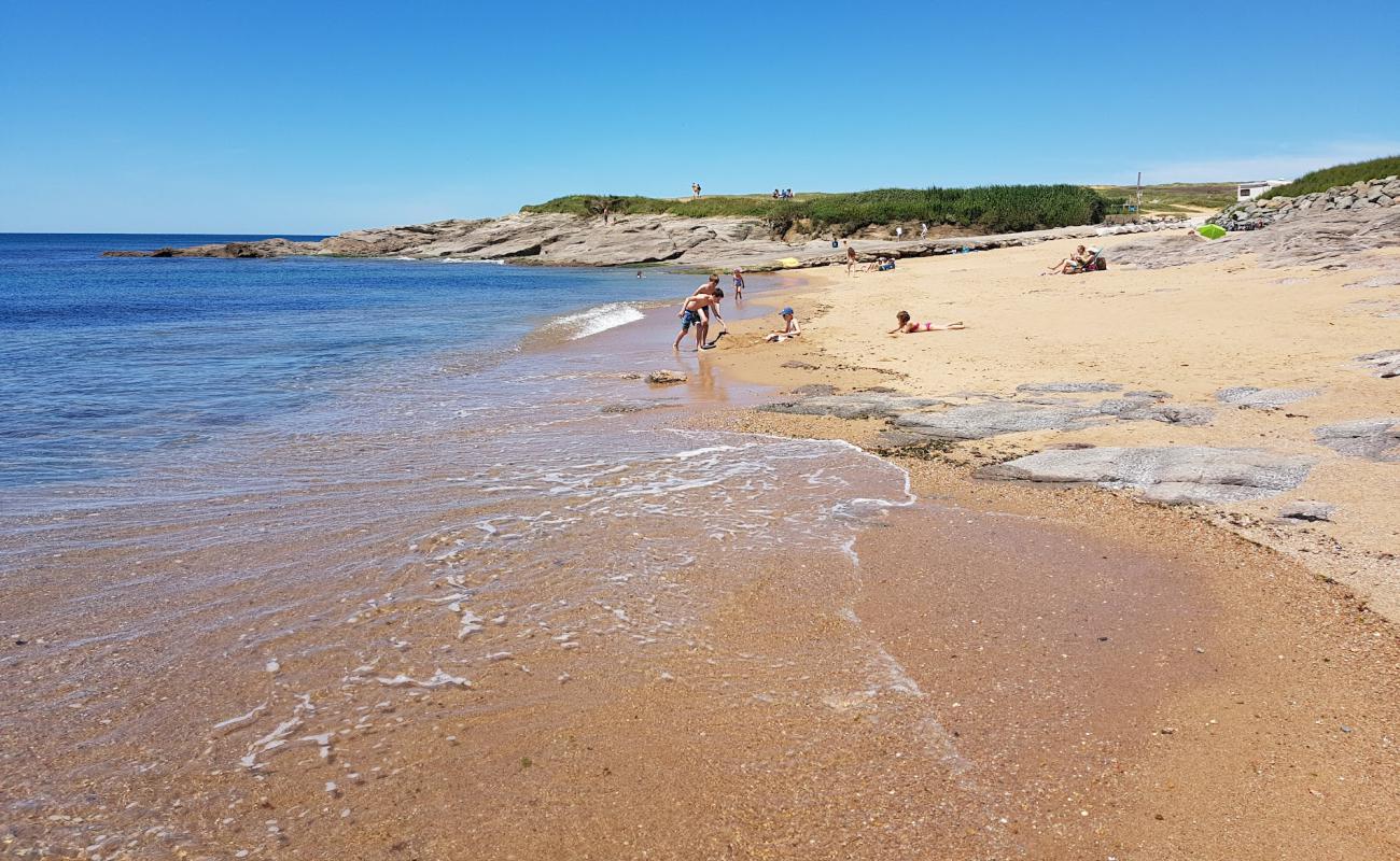 La Sauzaie beach'in fotoğrafı taşlı kum yüzey ile