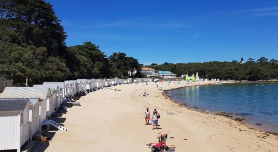 Plage des Dames