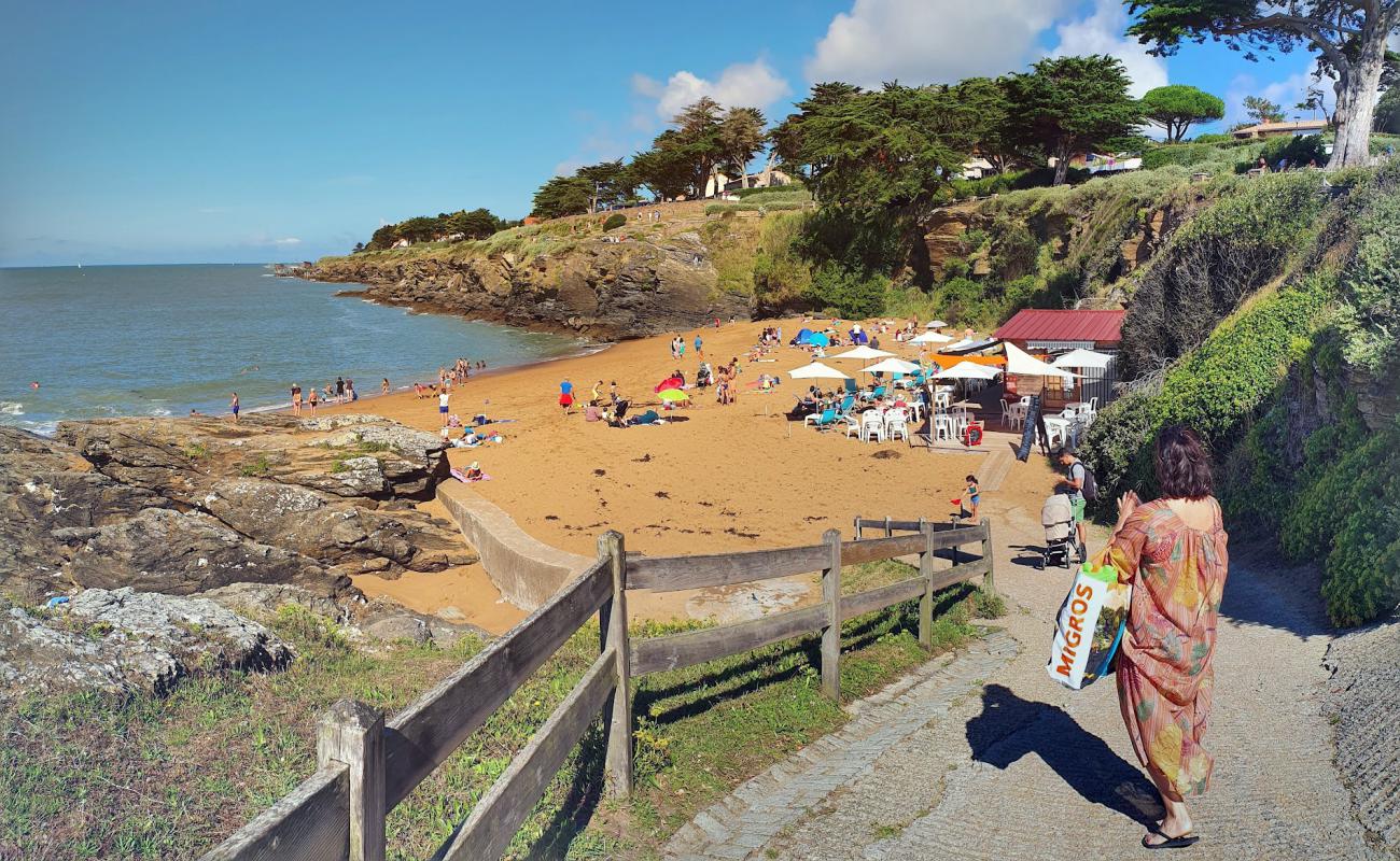 Plage des Sablons'in fotoğrafı parlak kum yüzey ile