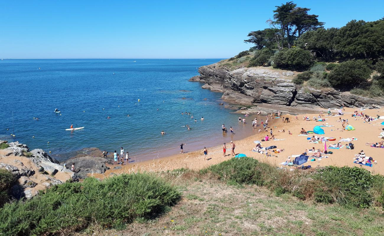 Porteau beach'in fotoğrafı parlak kum yüzey ile