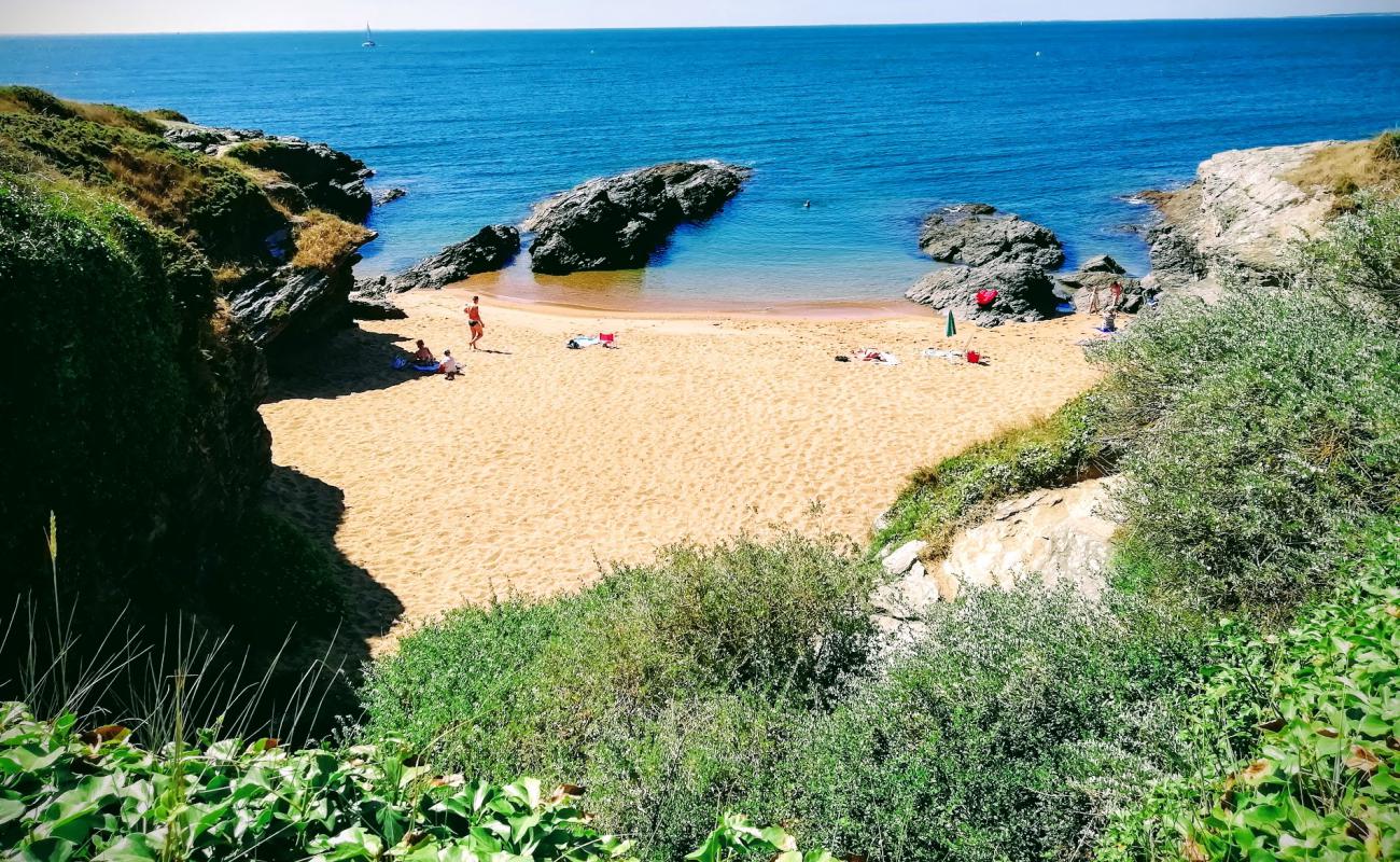 La Gauviniere beach'in fotoğrafı parlak kum yüzey ile