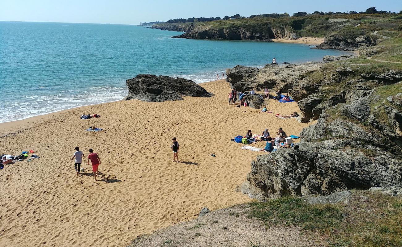 Etang beach'in fotoğrafı parlak kum yüzey ile