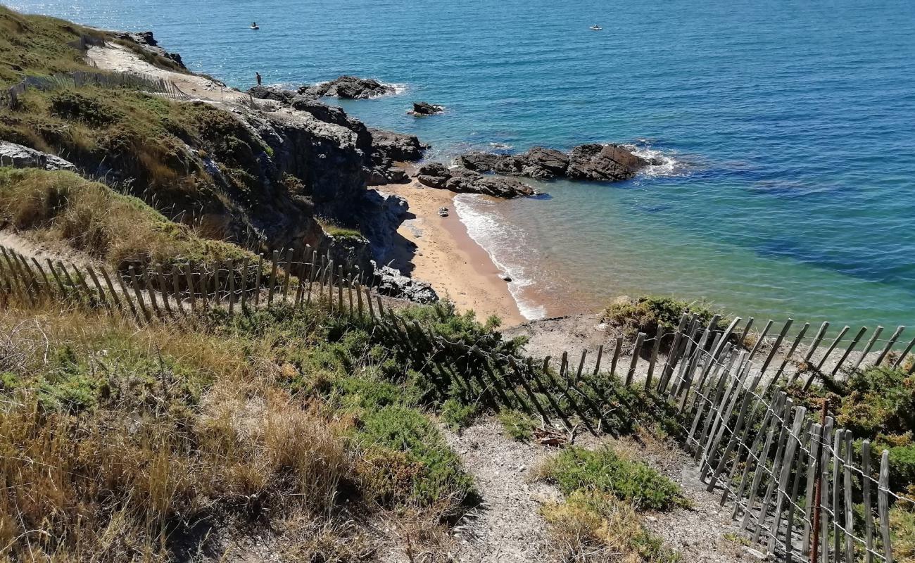 Raitrie beach'in fotoğrafı parlak kum yüzey ile