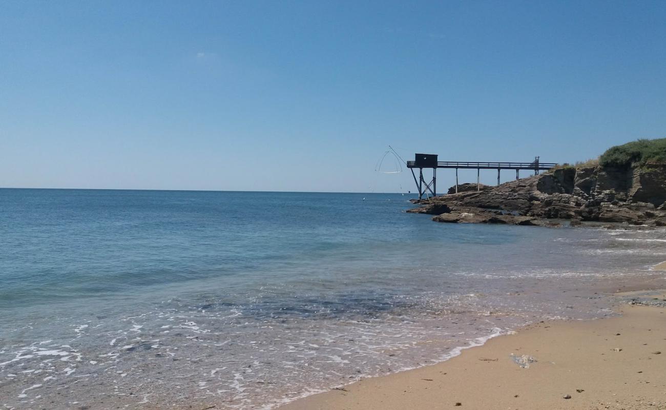 Margareth beach'in fotoğrafı parlak kum yüzey ile