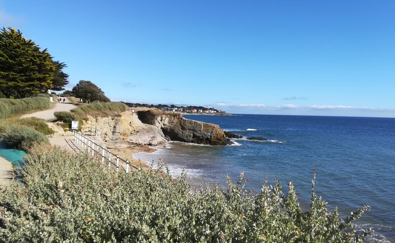 Raize beach'in fotoğrafı açık bej kum yüzey ile