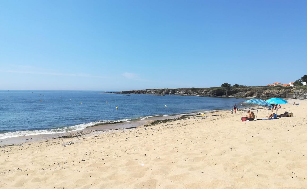 Anse du Sud beach'in fotoğrafı bej kum ve kayalar yüzey ile