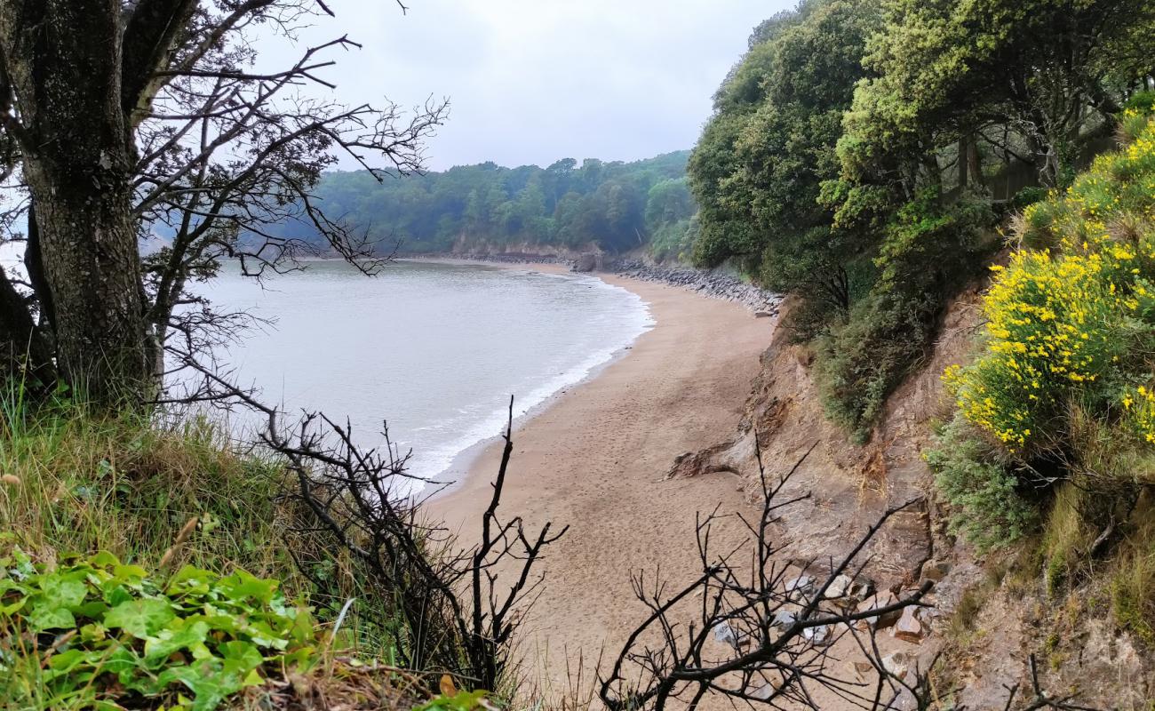 Bonne Anse beach'in fotoğrafı parlak kum ve kayalar yüzey ile