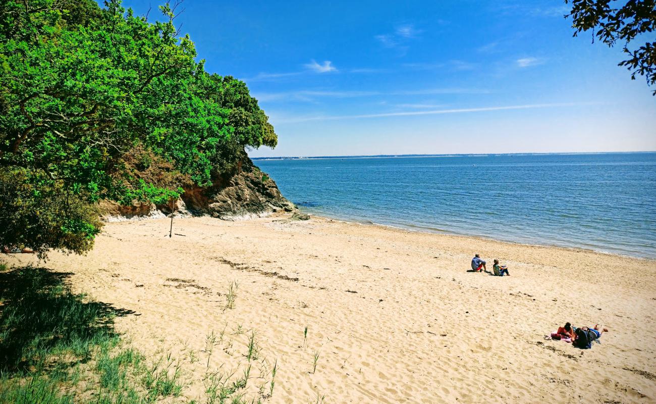 Porce beach'in fotoğrafı parlak kum yüzey ile