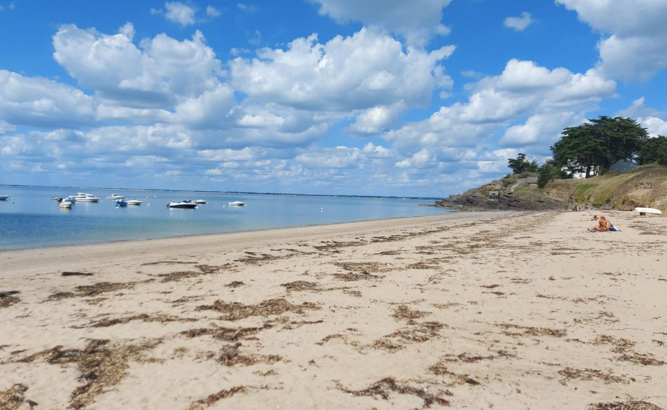 Plage de Marescle'in fotoğrafı açık bej kum yüzey ile