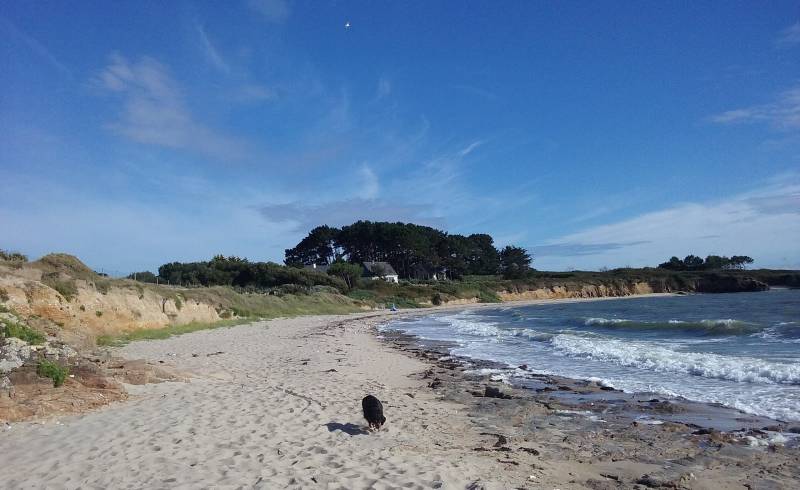 Plage Le Logui'in fotoğrafı bej kum ve kayalar yüzey ile