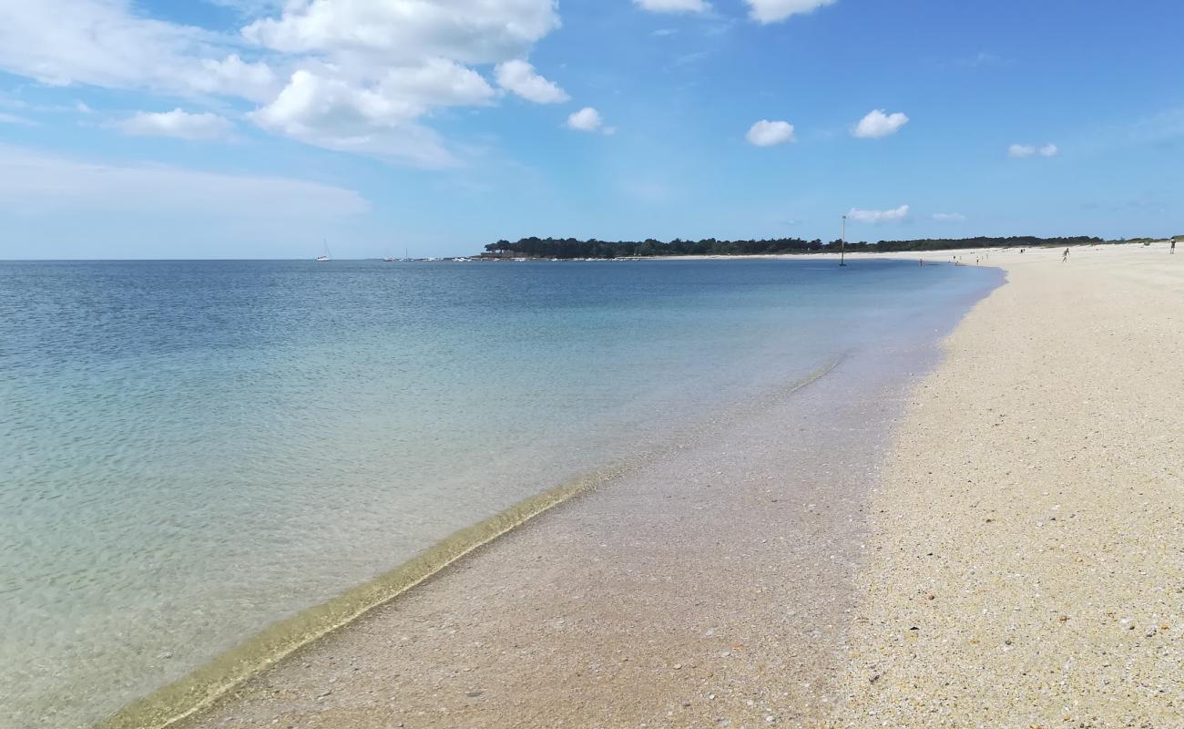Plage Suscinio'in fotoğrafı açık bej kum yüzey ile