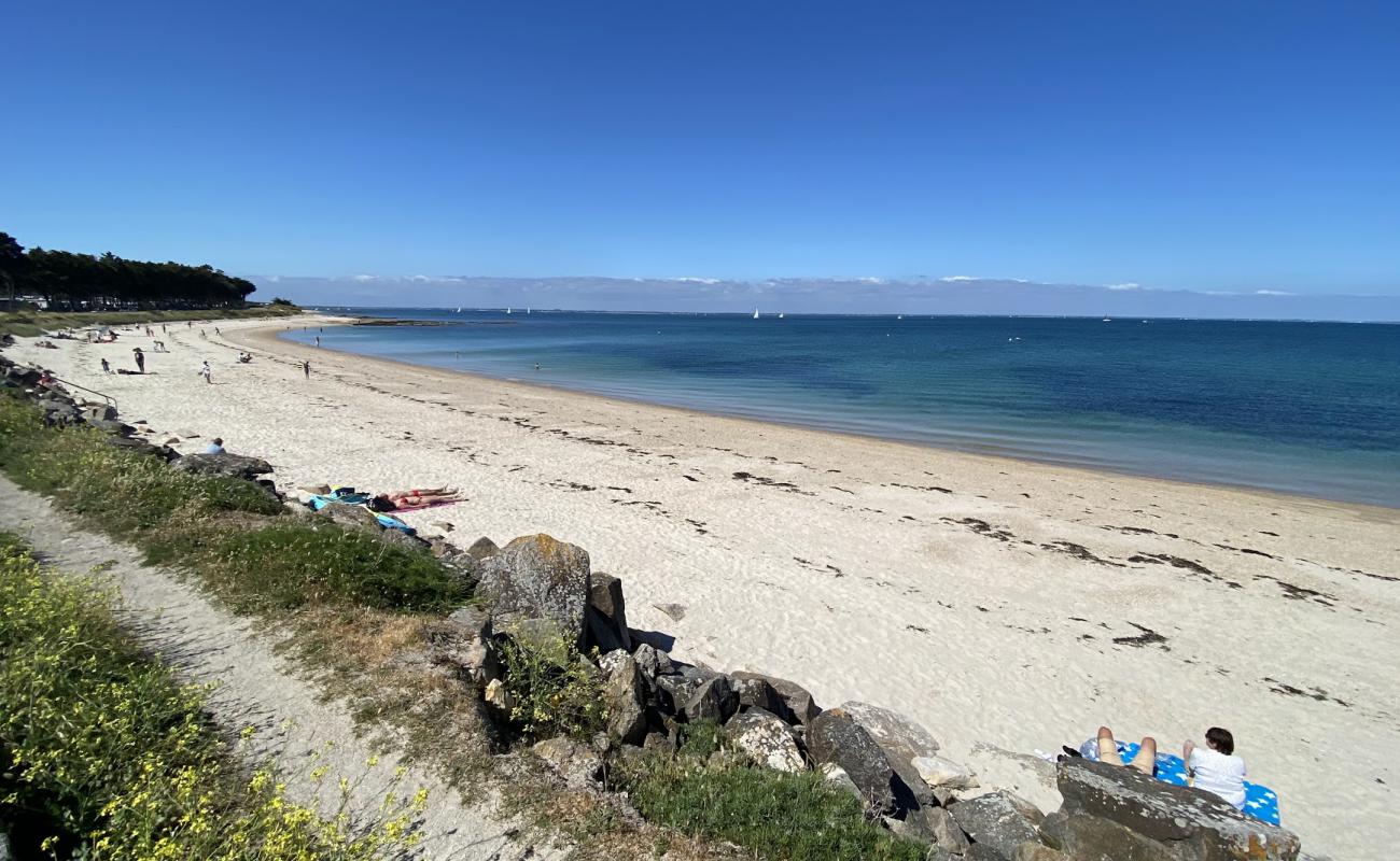 Plage du Conguel'in fotoğrafı açık bej kum yüzey ile
